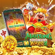 djbet333 com