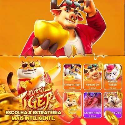 6655bet